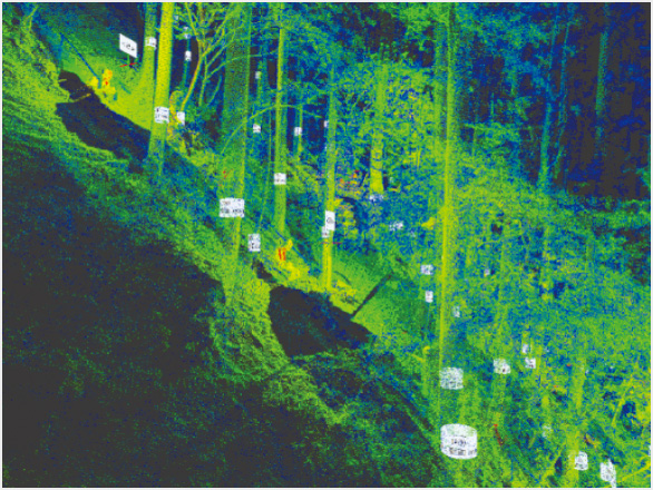 3D レーザースキャナーで計測した樹林（赤い円内）を維持管理用の図面に描き込んだ例