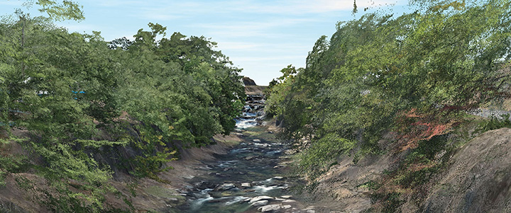 TIN データ上に空撮写真の色を載せて作った渓谷の CIM モデル。 樹木下の渓谷までしっかりと 3D 化されている。 樹木はあえてフィルタリングせずに残した